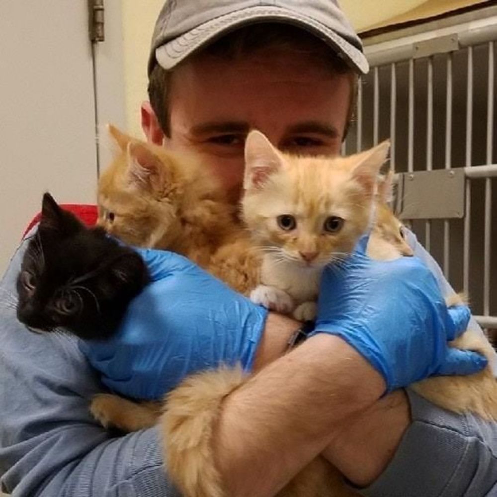 Meet your Posher, Corey